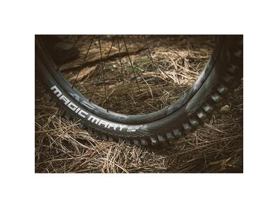 Schwalbe Magic Mary Evo S/Gravity Soft TLE 27.5x2.60 Fold click to zoom image